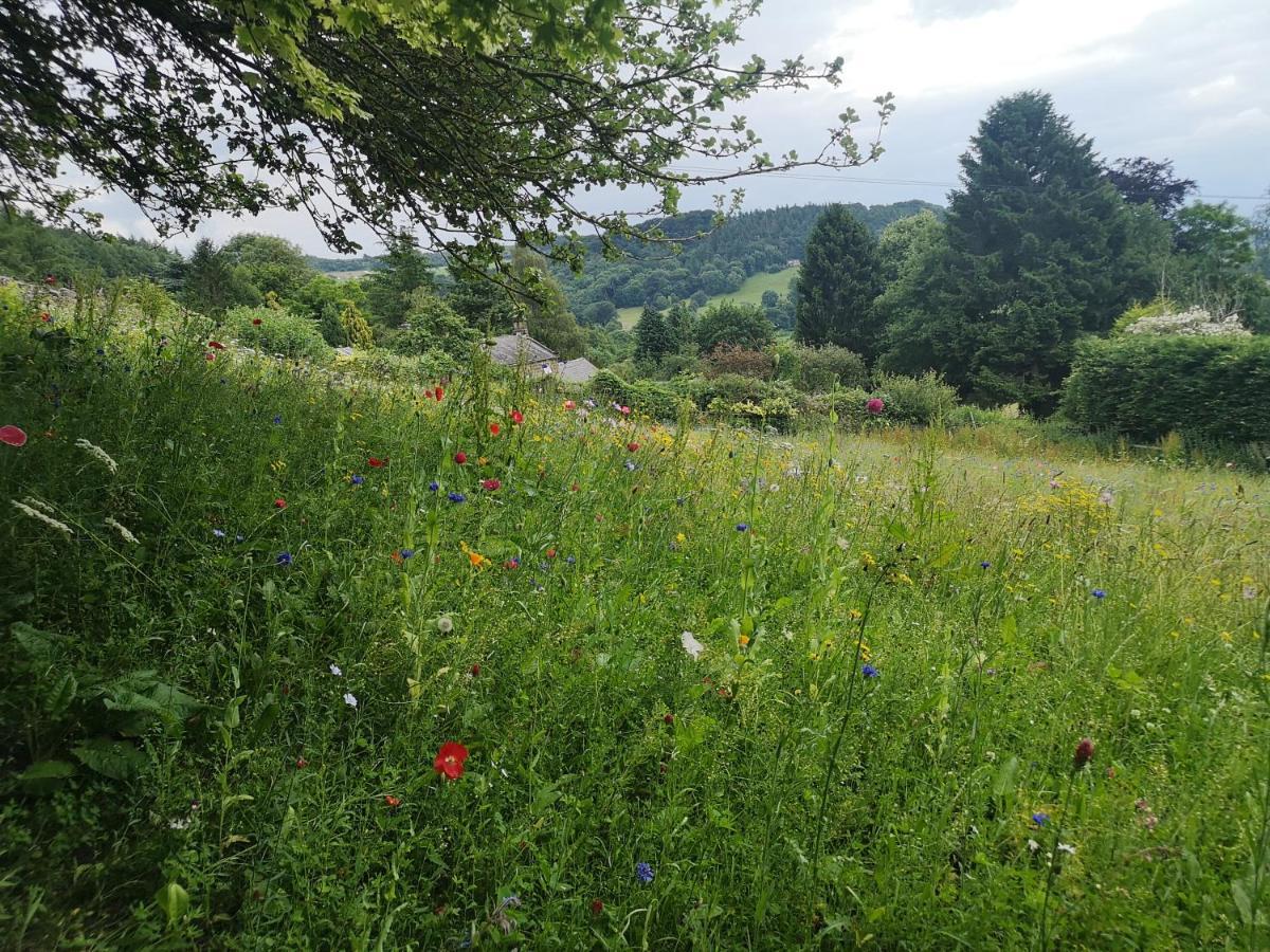 1 Bed Studio In Two Dales Near Matlock & Bakewell エクステリア 写真